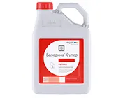 Балерина Супер, СЭ