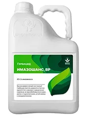 Имазошанс, ВР1