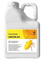 Сектор, КЭ1