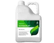 Наношанс, ВР