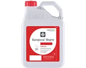 Балерина Форте, СЭ