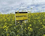 Манхэттен
