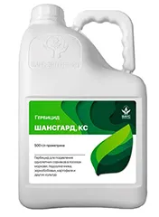 Шансгард, КС1