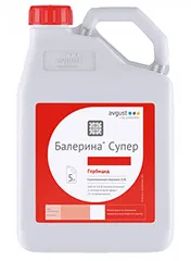 Балерина Супер, СЭ1