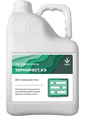 Зернорост, КЭ1