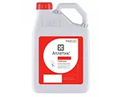 Атлетик, МД