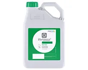 Интрада, СК