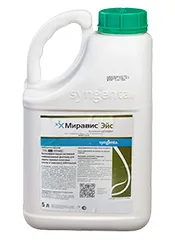 Миравис Эйс, СЭ1