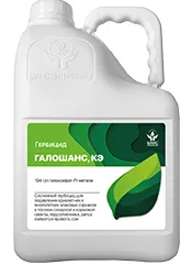 Галошанс, КЭ1
