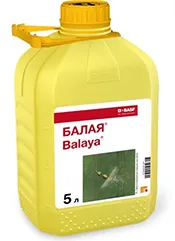 Балая, КЭ1