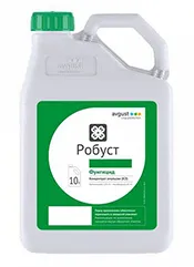 Робуст, КЭ1