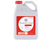 Балерина Супер, СЭ