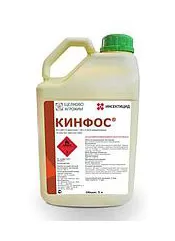 Кинфос, КЭ1