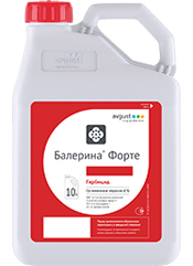 Балерина Форте, СЭ1