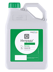 Интрада, СК1