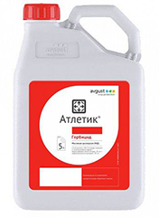 Атлетик, МД1