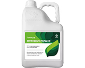 Зенкошанс Голд, КЭ