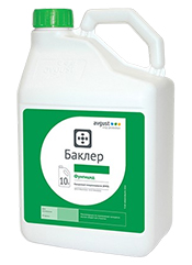 Баклер, КМЭ1