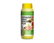 Серкадис Плюс, КС