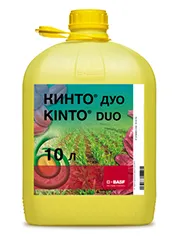 Кинто Дуо, КС1