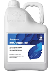 Коалиция, КЭ1