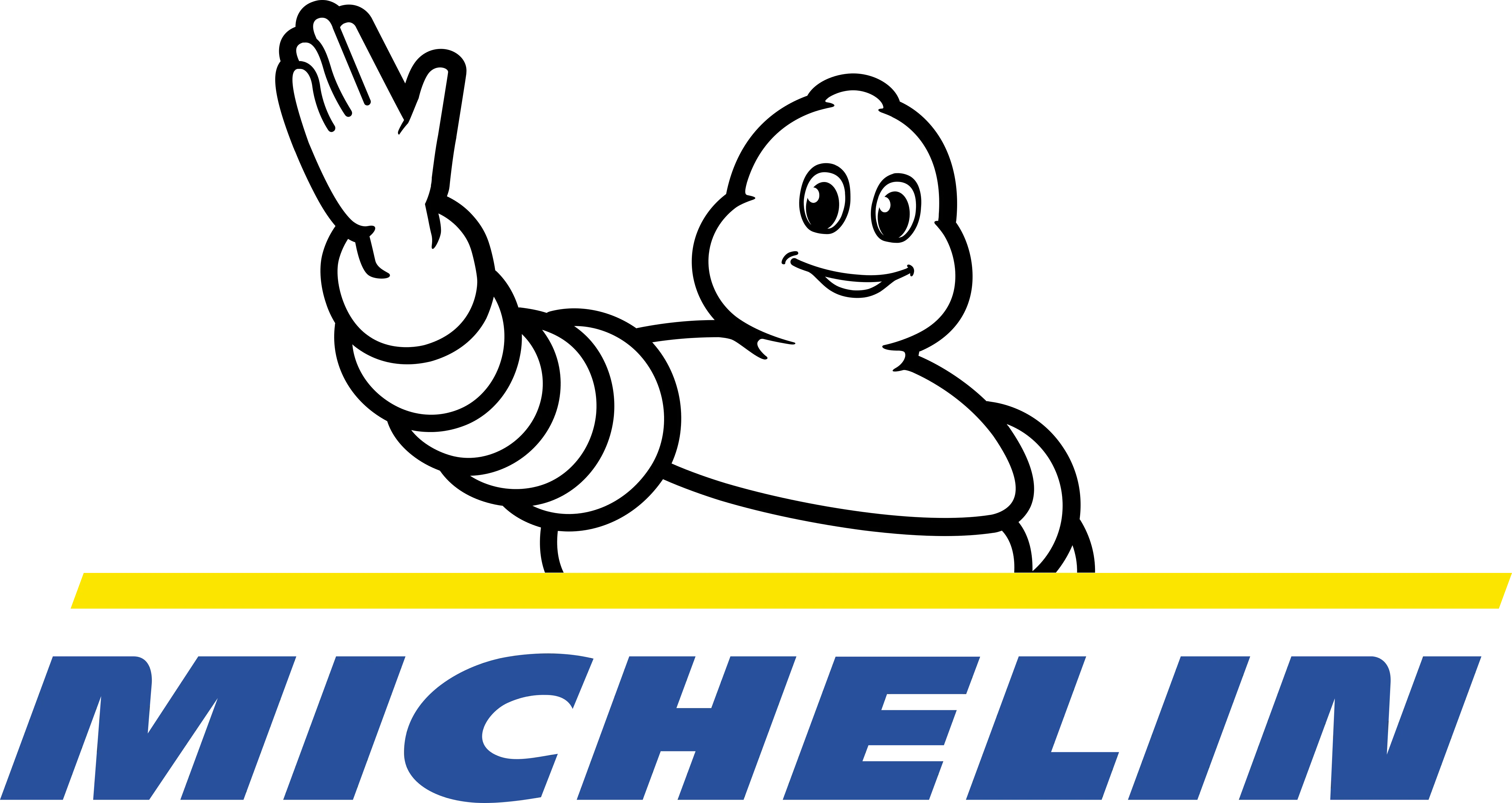 Шины Michelin MULTIBIB для тракторов3