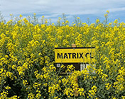 Матрикс КЛ