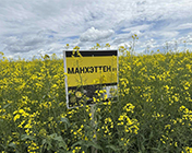 Манхэттен
