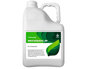 Имазошанс, ВР