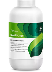 Шантус, ВДГ1