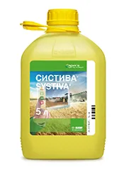 Систива, КС1