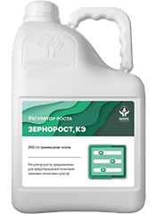 Зернорост, КЭ1