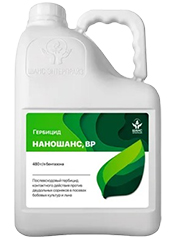 Наношанс, ВР1