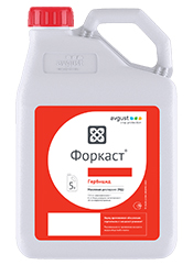 Форкаст, МД1