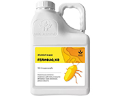 Гелифас, КЭ