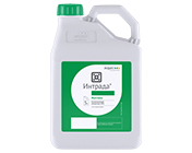 Интрада, СК