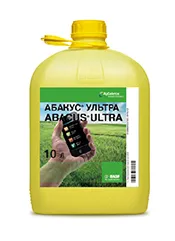 Абакус Ультра, СЭ1