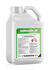  Лайфлайн, ВР1