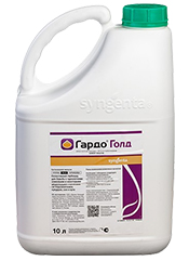 Гардо Голд, СЭ1