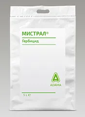 Мистрал, ВДГ1