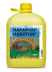 Марафон, ВК1
