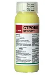 Строби, ВГ1