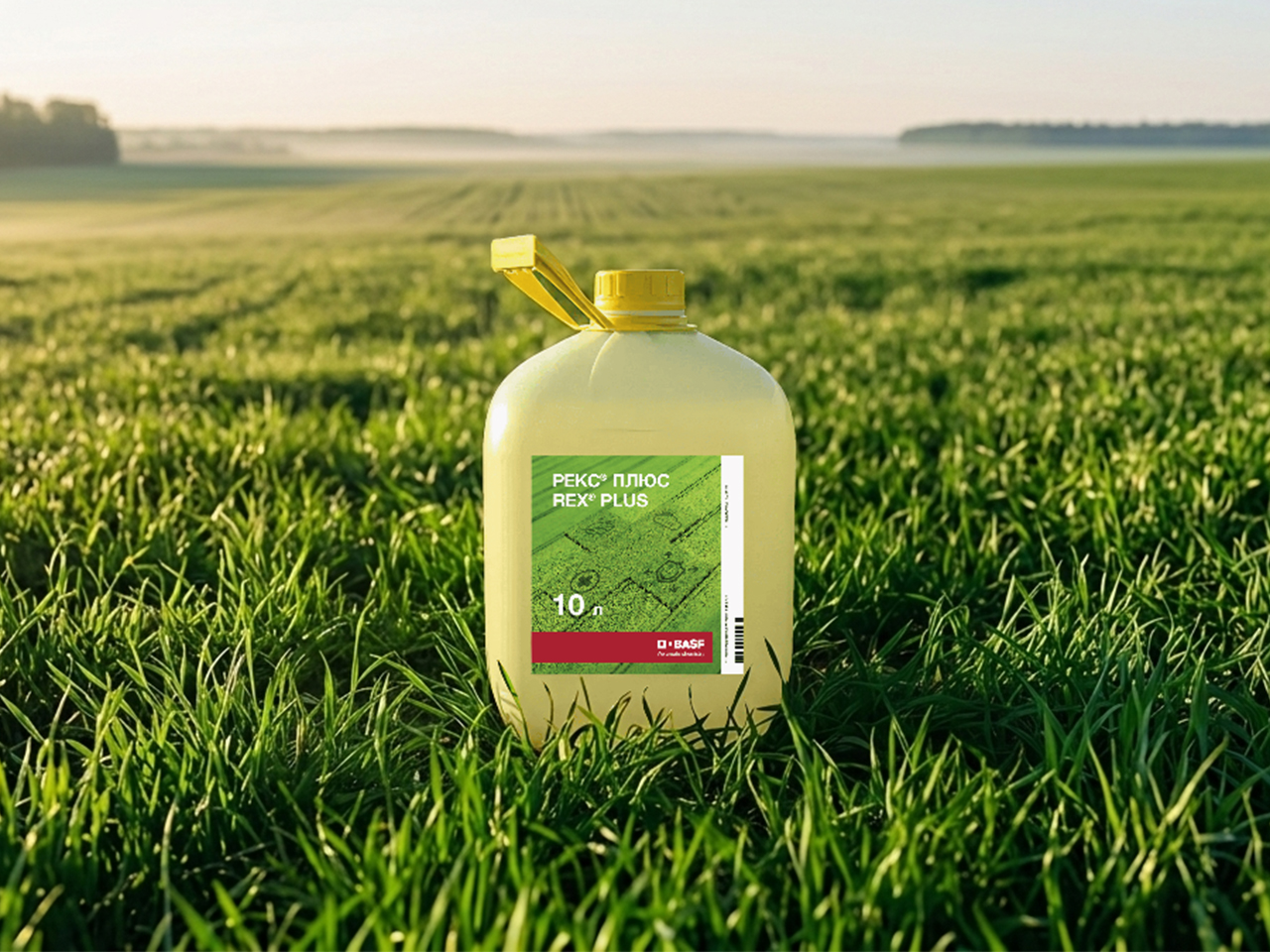 рекс_плюс_1.jpg рекс_плюс_1.jpg