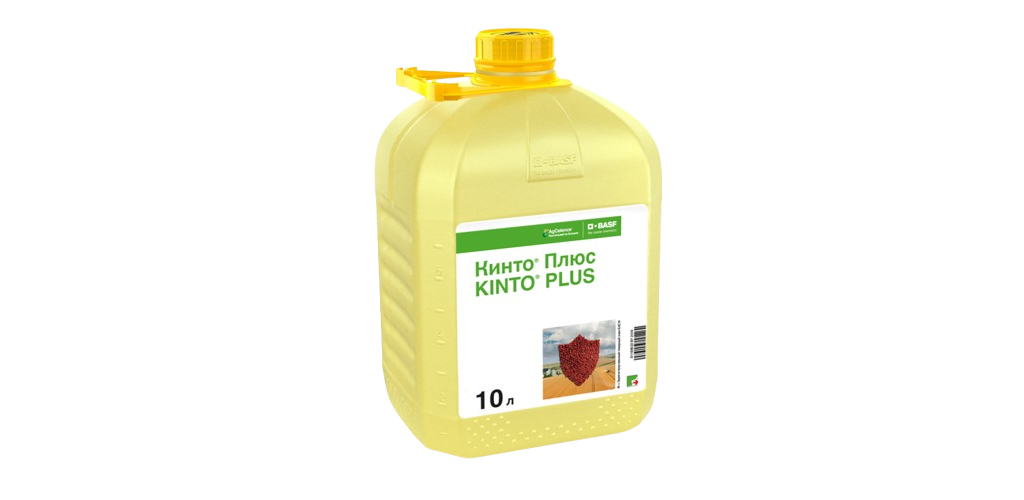 кинто.jpg кинто.jpg