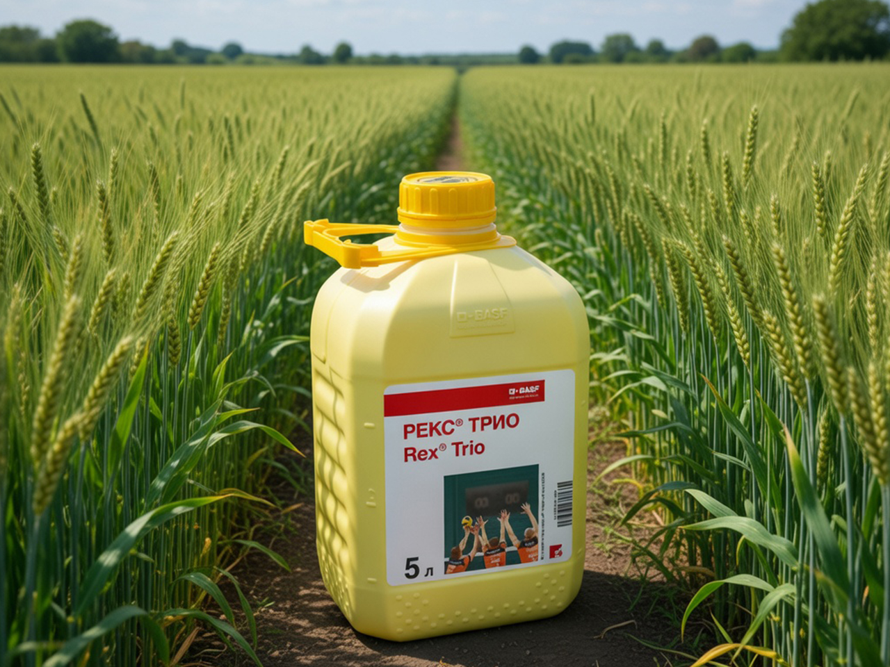 рекс_трио-1.jpg рекс_трио-1.jpg