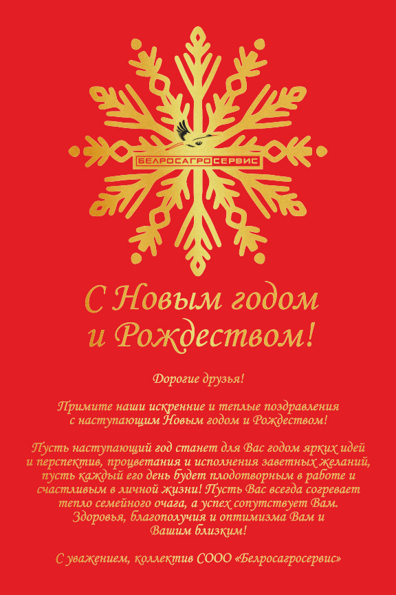 С Новым годом 2025.jpg