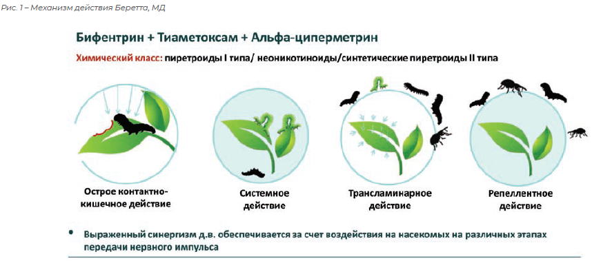 IMG_0744.png IMG_0744.png
