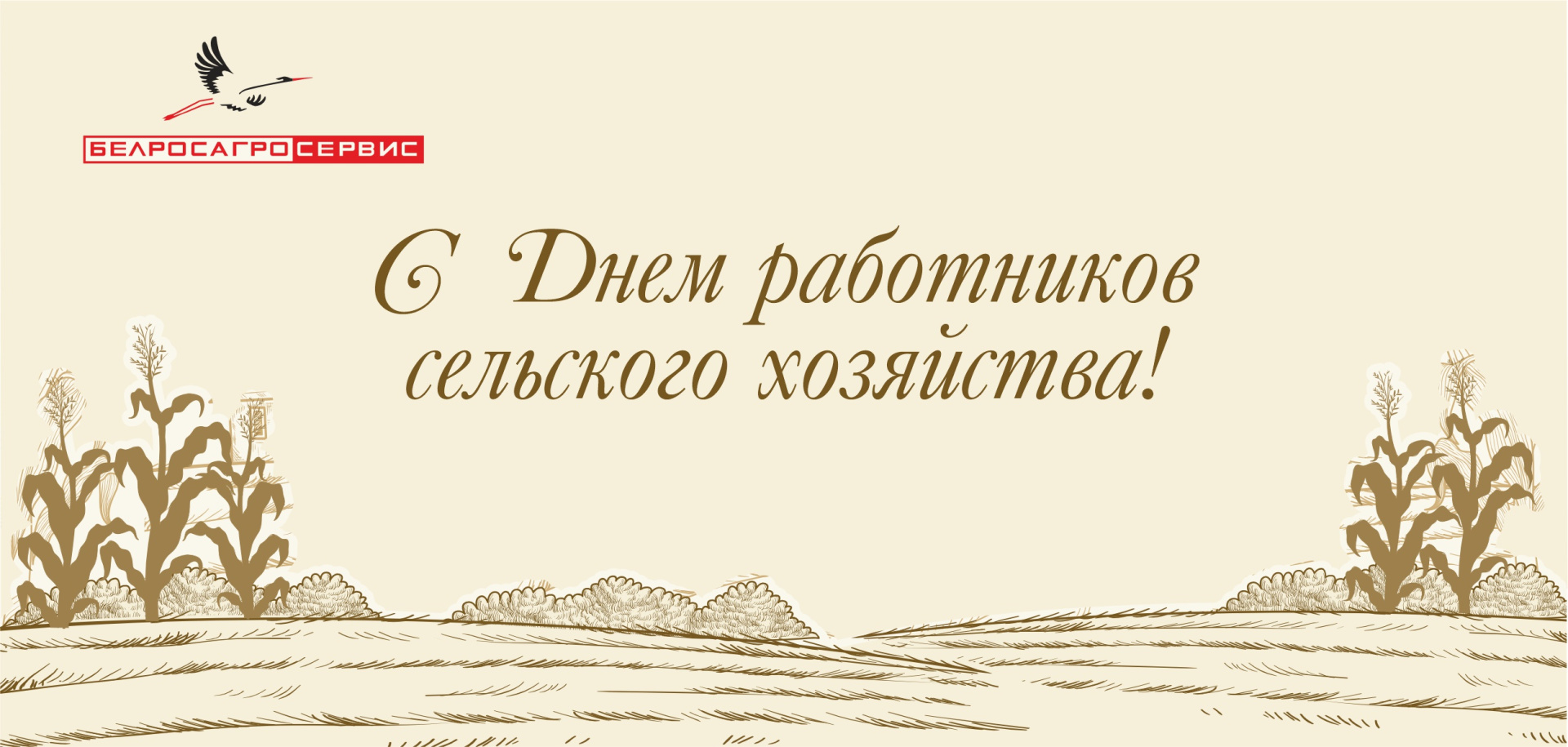 открытка.jpg