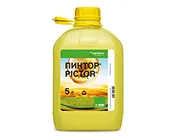 Пиктор, КС